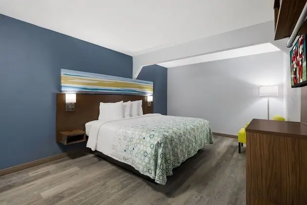 Stüdyo, Sigara İçilmez (1 King Bed and 2 Double Beds)