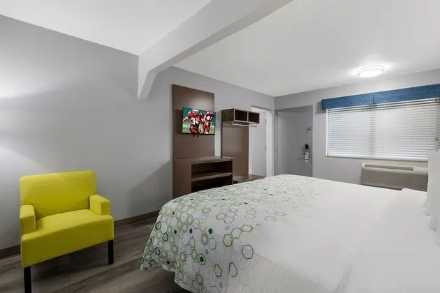 Stüdyo, Sigara İçilmez (1 King Bed and 2 Double Beds)