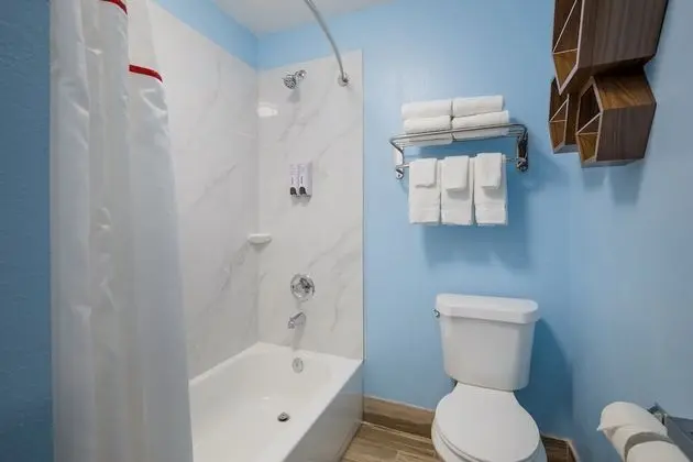 Stüdyo, Sigara İçilmez (1 King Bed and 2 Double Beds)