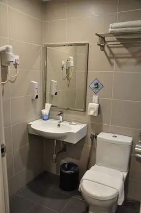 Superior Tek Büyük Yataklı Oda
