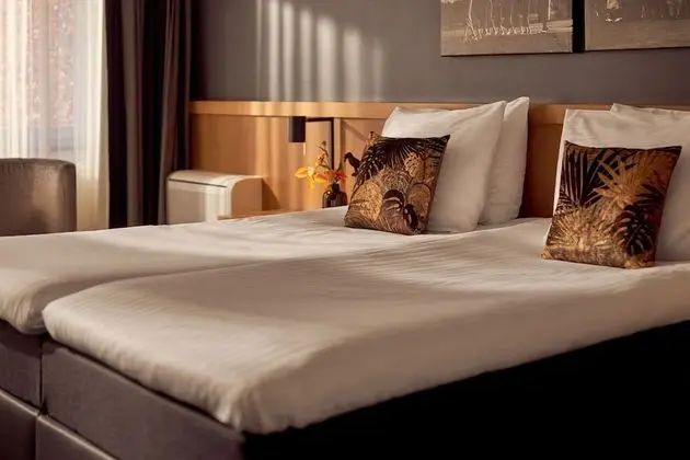 Comfort Tek Büyük Yataklı Oda, Engellilere Uygun, Teras