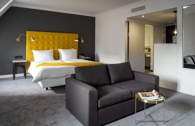 Deluxe Tek Büyük Yataklı Oda (Flamingo)