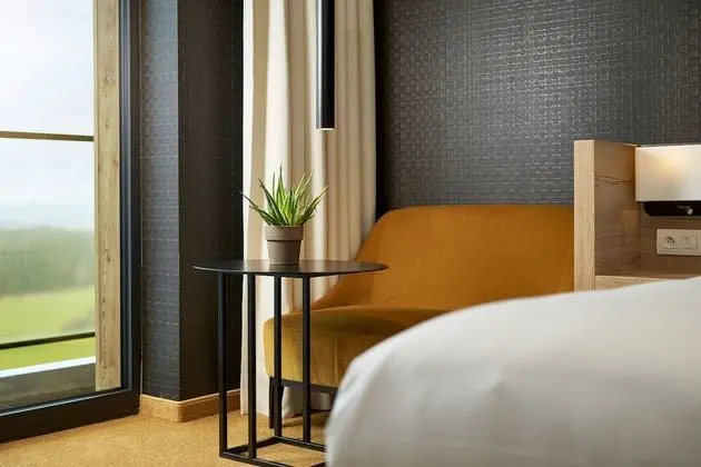 Superior Tek Büyük veya İki Ayrı Yataklı Oda, Balkon