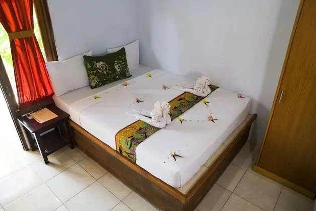 Superior Tek Büyük Yataklı Oda, 1 Çift Kişilik Yatak, Park Manzaralı