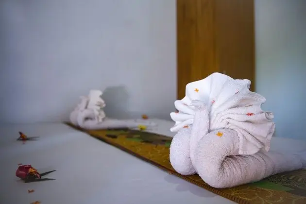 Superior Tek Büyük Yataklı Oda, 1 Çift Kişilik Yatak, Park Manzaralı