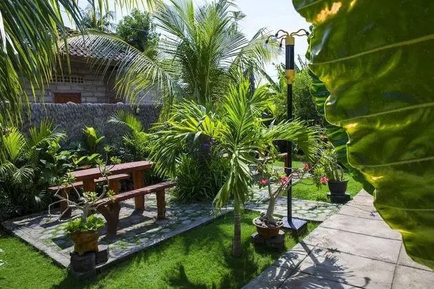 Superior Tek Büyük Yataklı Oda, 1 Çift Kişilik Yatak, Park Manzaralı