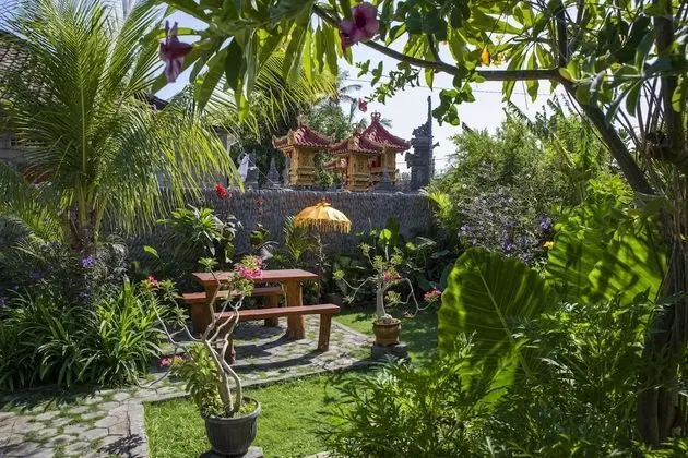 Superior Tek Büyük Yataklı Oda, 1 Çift Kişilik Yatak, Park Manzaralı
