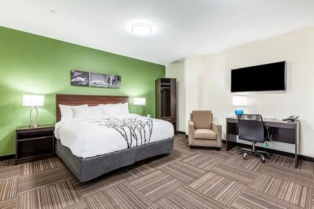 Apartment Suite, King Bed and Sofa Bed with Kitchen, Non Smoking