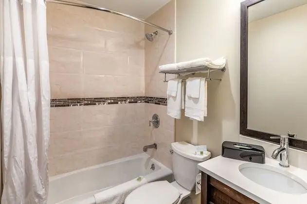 Apartment Suite, King Bed and Sofa Bed with Kitchen, Non Smoking