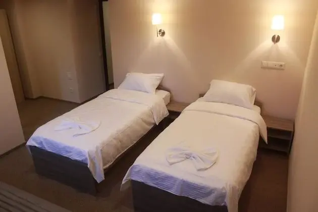 Standard İki Ayrı Yataklı Oda, 2 Tek Kişilik Yatak, Sigara İçilmez