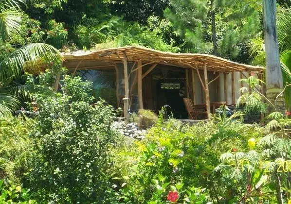 Bungalov (Haari)