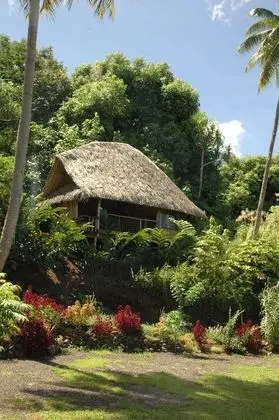 Bungalov (Kava)