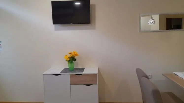 Stüdyo (Vanja - 200m from centar city - SA1(2)