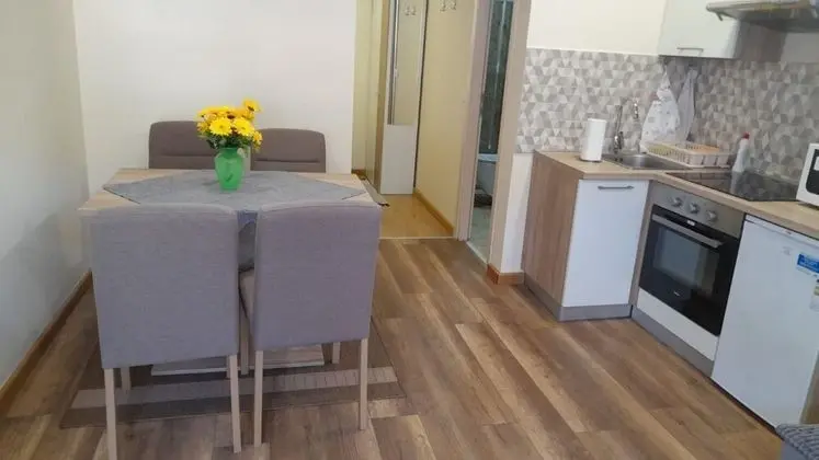 Stüdyo (Vanja - 200m from centar city - SA1(2)