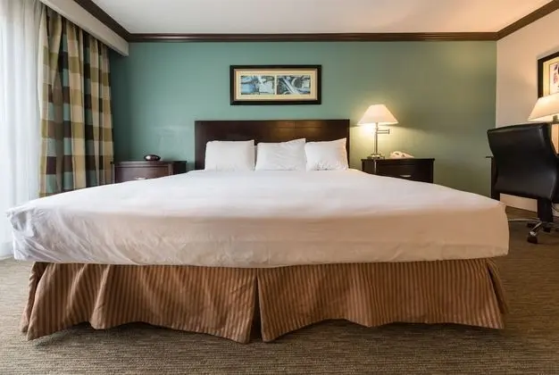 Executive King Suite