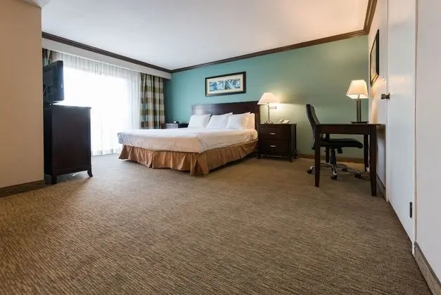 Executive King Suite
