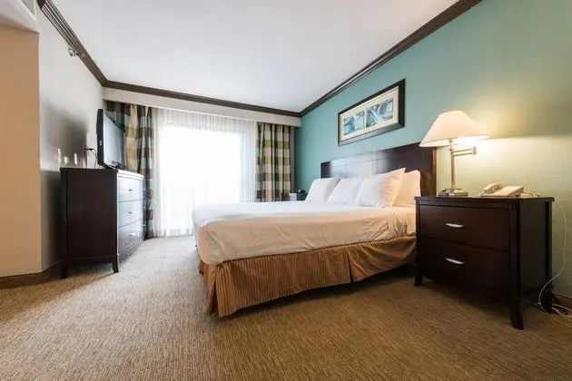 Executive King Suite
