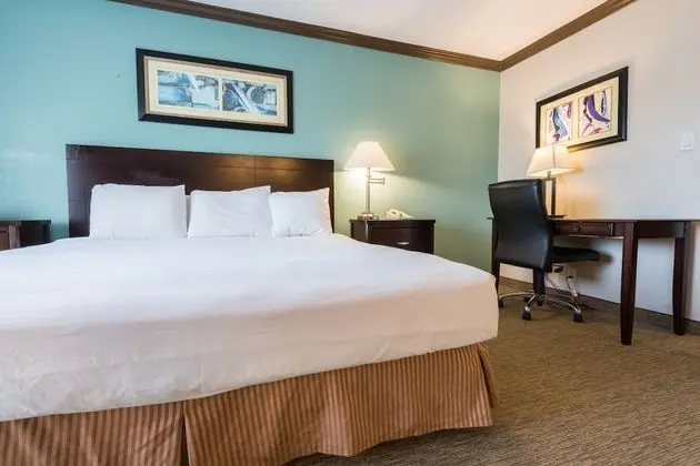 Executive King Suite