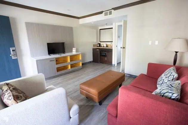 Executive King Suite