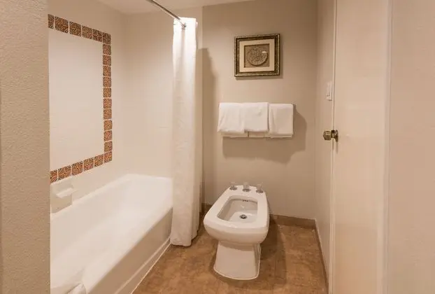 Executive King Suite