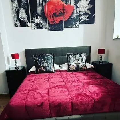 Premium Stüdyo, 1 Büyük (Queen) Boy Yatak ve Çekyat, Park Manzaralı, Bahçeli