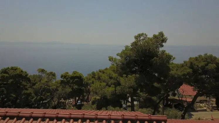 Apart Daire (Var - with nice garden - A1(5+1))