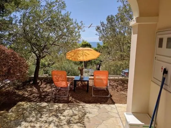 Apart Daire (Var - with nice garden - A1(5+1))