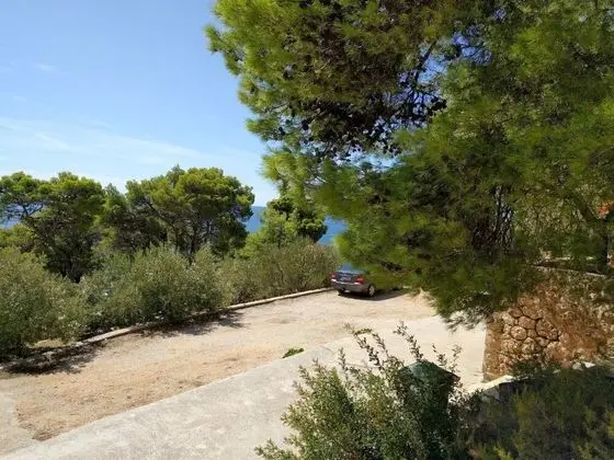 Apart Daire (Var - with nice garden - A1(5+1))