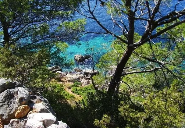 Apart Daire (Var - with nice garden - A1(5+1))