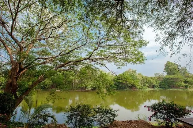 Rimnam - River View