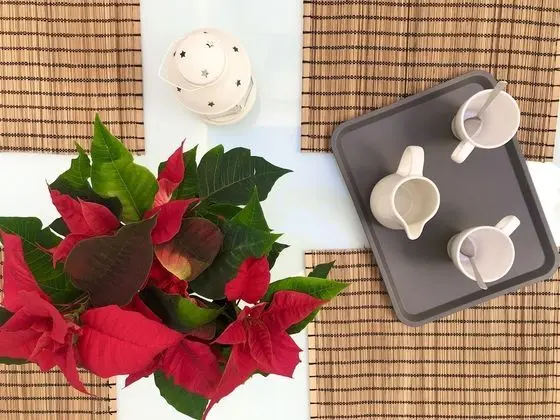 Apart Daire, Banyolu/Duşlu