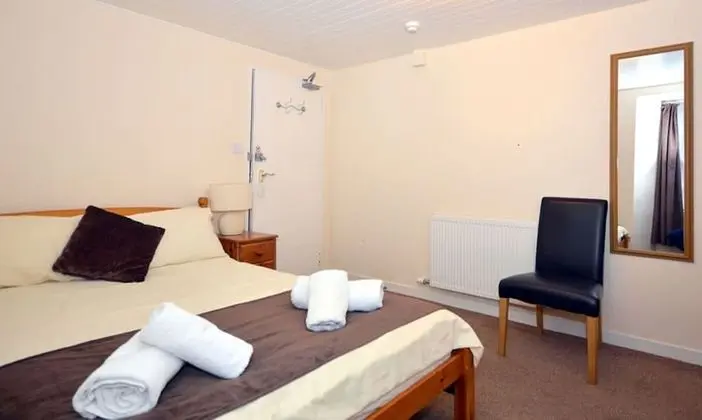 Deluxe Tek Büyük Yataklı Oda, Banyolu/Duşlu