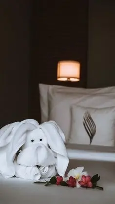 Sky Suite with Panoramic View