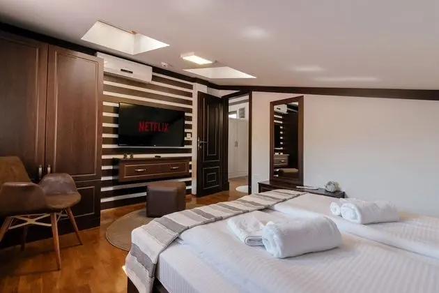 Panoramic Çatı Katı Süiti (Penthouse)