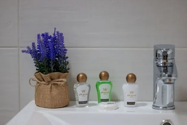 Panoramic Çatı Katı Süiti (Penthouse)