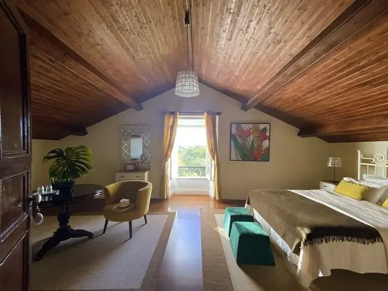 Superior Oda, 1 Çift Kişilik Yatak, Özel Banyo, Dağ Manzaralı