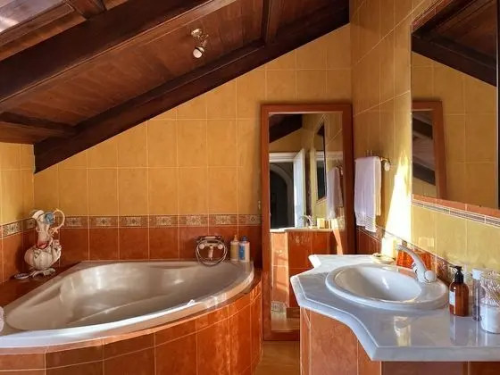 Superior Oda, 1 Çift Kişilik Yatak, Özel Banyo, Dağ Manzaralı