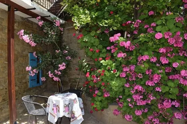 Traditional Apart Daire, 1 Yatak Odası
