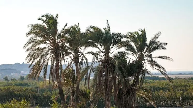 Exclusive Villa, 3 Yatak Odası