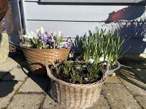 Stüdyo, 1 Yatak Odası, Küçük Mutfak