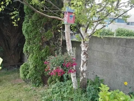 Standard Tek Büyük Yataklı Oda, Banyolu/Duşlu