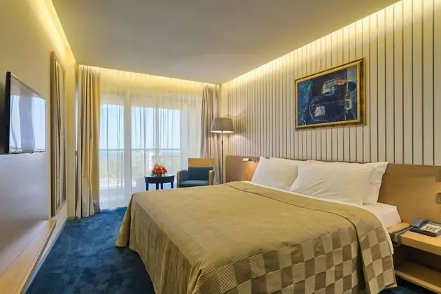Tek Büyük Yataklı Oda (with Balcony and Lateral Sea View)
