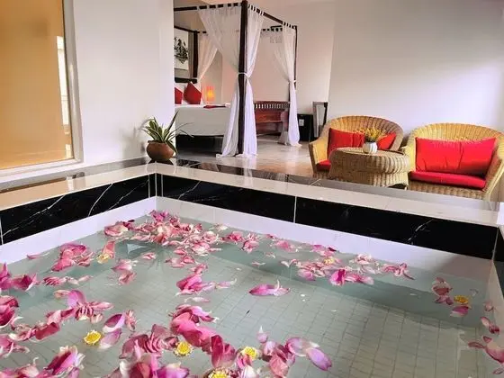 Tek Kişilik Oda, Balkon, Havuz Manzaralı