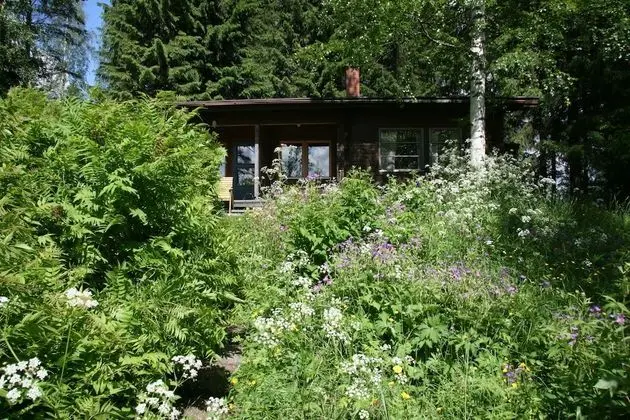 Kulübe, Sauna, Göl Kenarı
