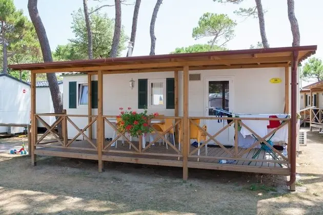Deluxe Karavan