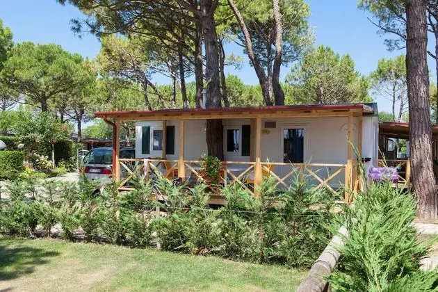 Deluxe Karavan