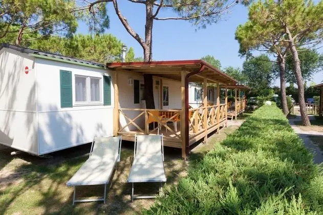 Deluxe Karavan (Grand)