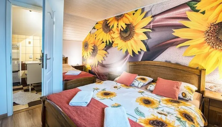 Apart Daire (Slunečnica)