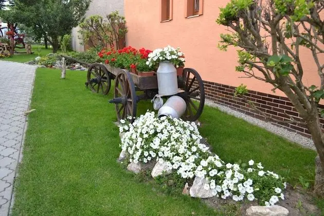 Apart Daire (Tulipán)