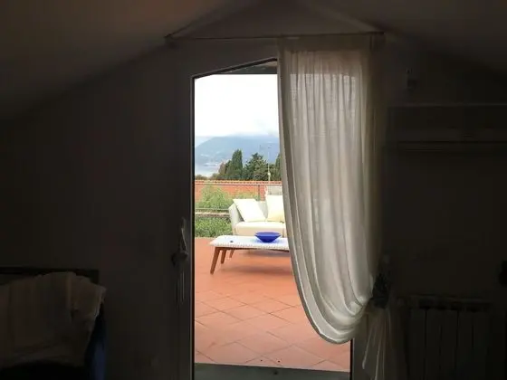 Süit
